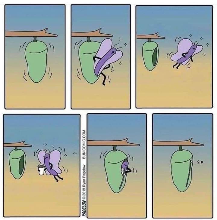 Gypsy2100's tweet image. #MinnesotaSpring