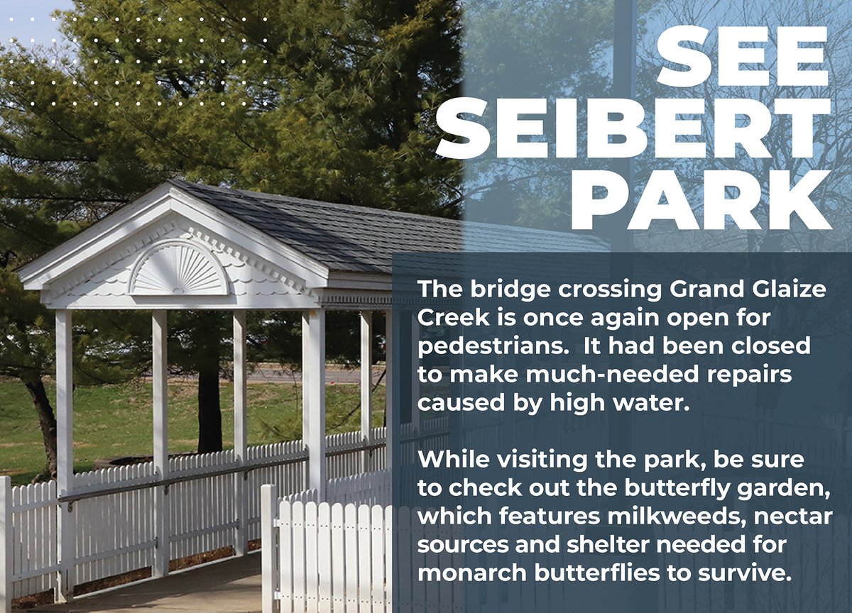 With such nice weather upon us, take the family to Seibert Park!