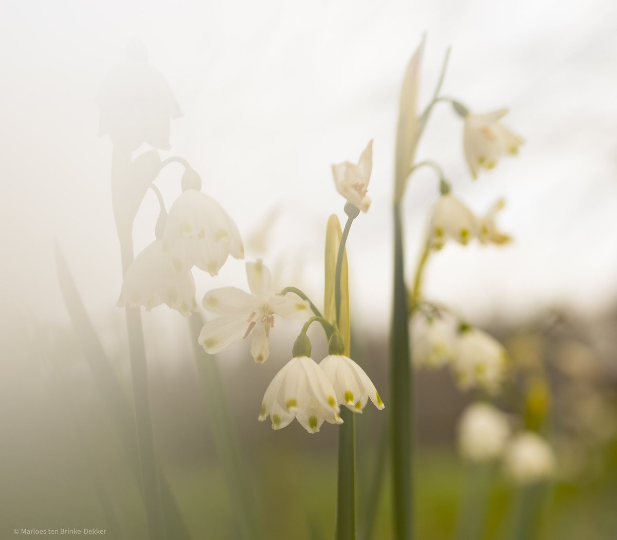 Lente! 
<a href="/CanonNederland/">Canon Nederland</a>