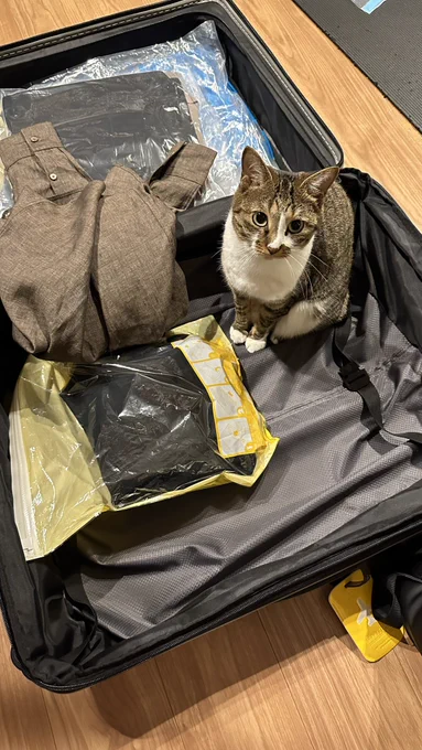 代わるがわる荷造りの邪魔をしに来る、、、一緒にインドに行く、、? 