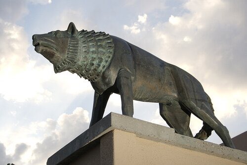We stay in the Land of Enchantment as we highlight the University of New Mexico Lobos. 

Est: 1892
Albuquerque, NM
495–633–31  All-Time
4 Bowl Wins
4 Conference Titles