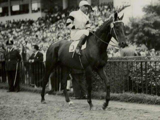 HORSERACING1002's tweet photo. YATASTO 🇦🇷1948
(SELIM HASSAN - YUCCA BY CONGREVE)
#Yatasto https://t.co/56m6iWPGbG