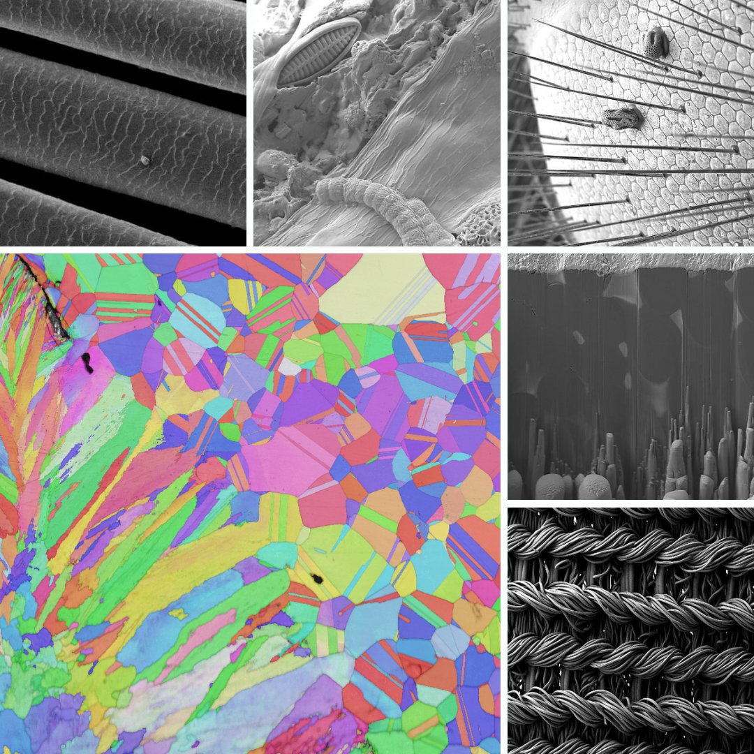 EMC_PlymUni's tweet photo. Are you interested in how #PEMC have been working with industry? How we've used #EBSD to study faults in materials? Or even used #SEMimaging to look at the performance of swimwear?
We have a range of industry case studies on our website! Take a look here: https://t.co/24dTaMYAjH https://t.co/nZKGLHV3mV