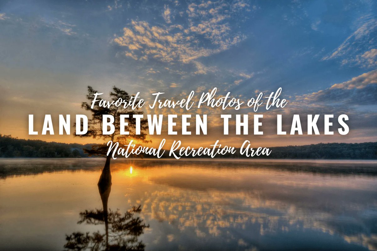 Road Trips & Coffee | Jason (@roadtripscoffee) on Twitter photo The Land Between the Lakes on the border between <a href="/KentuckyTourism/">Kentucky Tourism</a> and <a href="/TNVacation/">Tennessee Vacation</a> is a gorgeous place to visit. Browse my collection of favorite #travel #photos certain to inspire you to visit. <a href="/LandBtwnLakes/">Land Between the Lakes National Recreation Area</a> <a href="/forestservice/">USDA Forest Service</a>
See the photos at roadtripsandcoffee.com/travel-photos-… The Land Between the Lakes on the border between <a href="/KentuckyTourism/">Kentucky Tourism</a> and <a href="/TNVacation/">Tennessee Vacation</a> is a gorgeous place to visit. Browse my collection of favorite #travel #photos certain to inspire you to visit. <a href="/LandBtwnLakes/">Land Between the Lakes National Recreation Area</a> <a href="/forestservice/">USDA Forest Service</a>
See the photos at roadtripsandcoffee.com/travel-photos-…