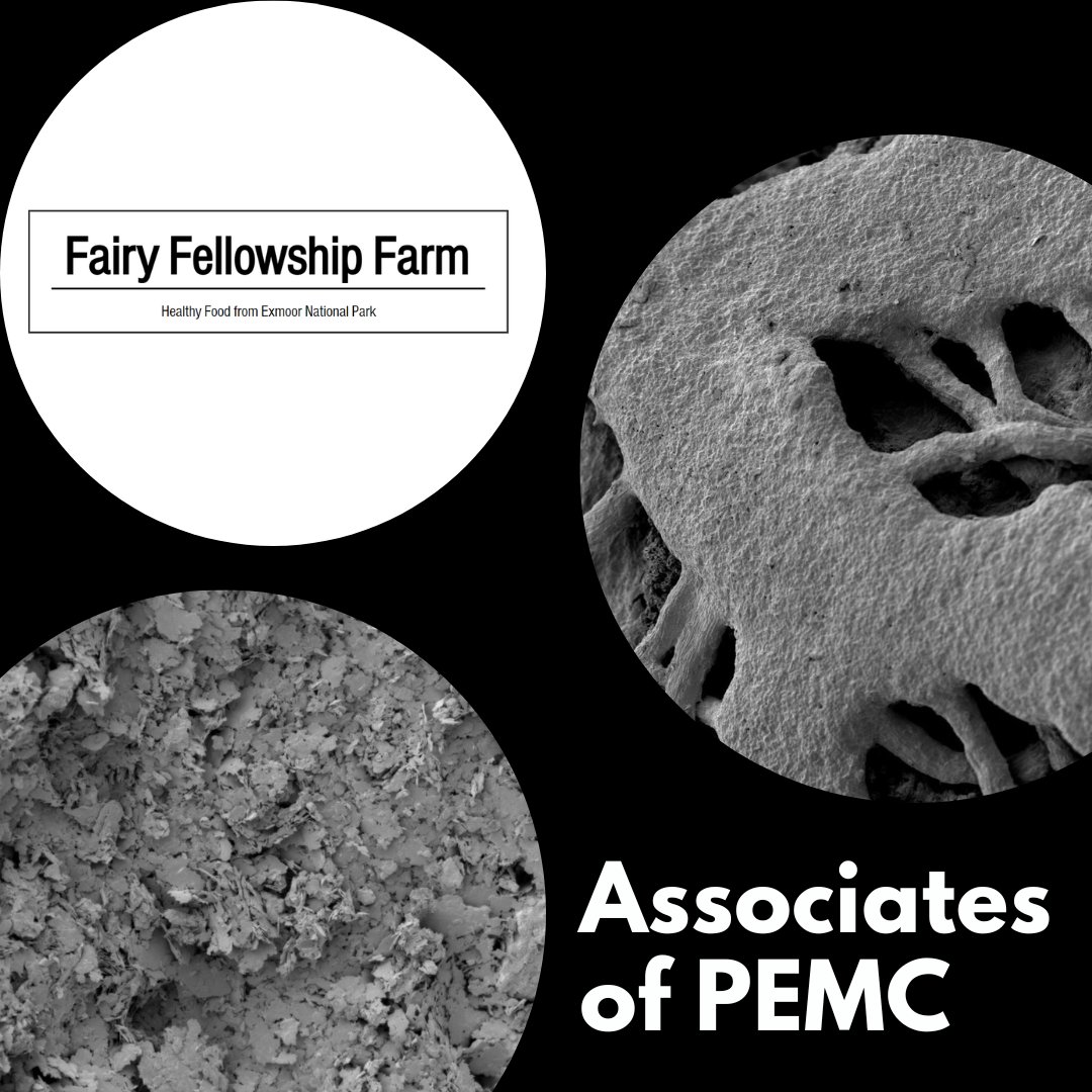 EMC_PlymUni's tweet image. We&apos;d like to introduce you to another of our #associates - Fairy Fellowship Farm! 

We worked with Fairy Fellowship Farm to analyse the #compositional &amp;amp; #textural differences of soil from different fields on their #farm, and even got to image some #lichen!