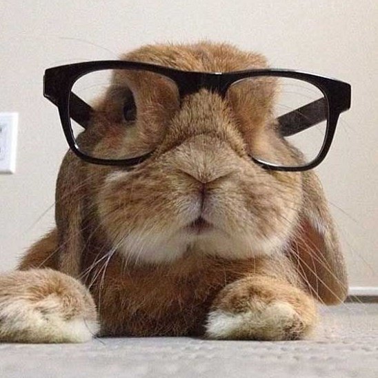 ourhomesoobin's tweet image. 숩: 🐰 👓