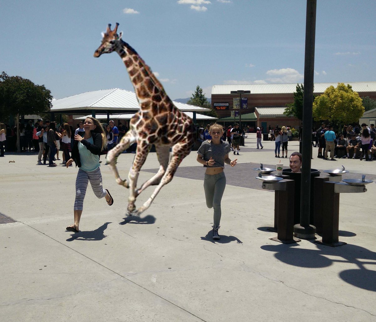 BiIIstenzel's tweet image. Senior Prank 2015