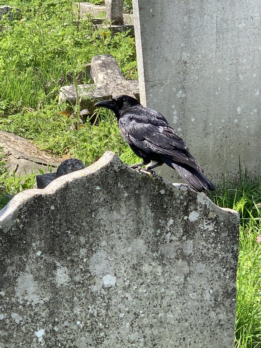 slave bruce tweet media