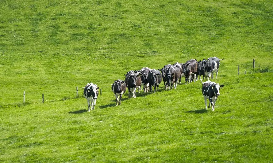 Cooprinsem anuncia ofertas y presencia en todas las estaciones temáticas de Field Days    tinyurl.com/2ayuta7r