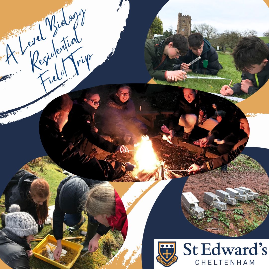 StEdwardsChelt's tweet photo. At the start of the Easter break, the A Level Biology students spent four days at FSC Nettlecombe Court, Somerset, enhancing their knowledge and expertise in fieldwork techniques. The campfire and marshmallows were the perfect end to a weekend of hard work!
#SECscience #SECtrips https://t.co/XVYa7XoToN