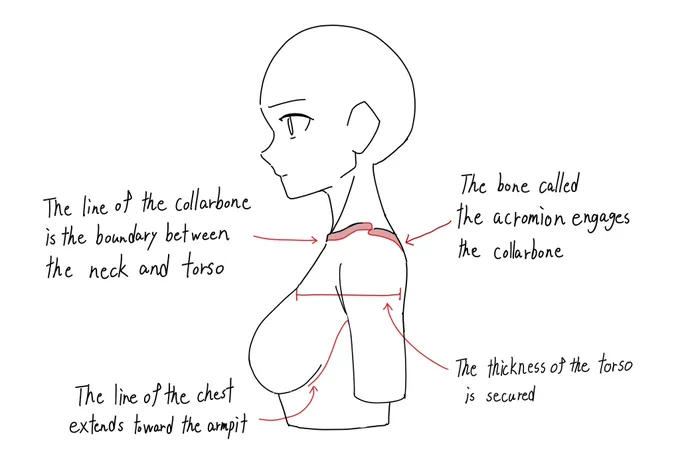 I have translated the illustrated notes into English as a trial, would this be helpful? 
Let me know if there is demand for it for you. 
If there is a demand, I will tweet other notes on another account. 
By the way, I just translated it using deepl, so there may be some 