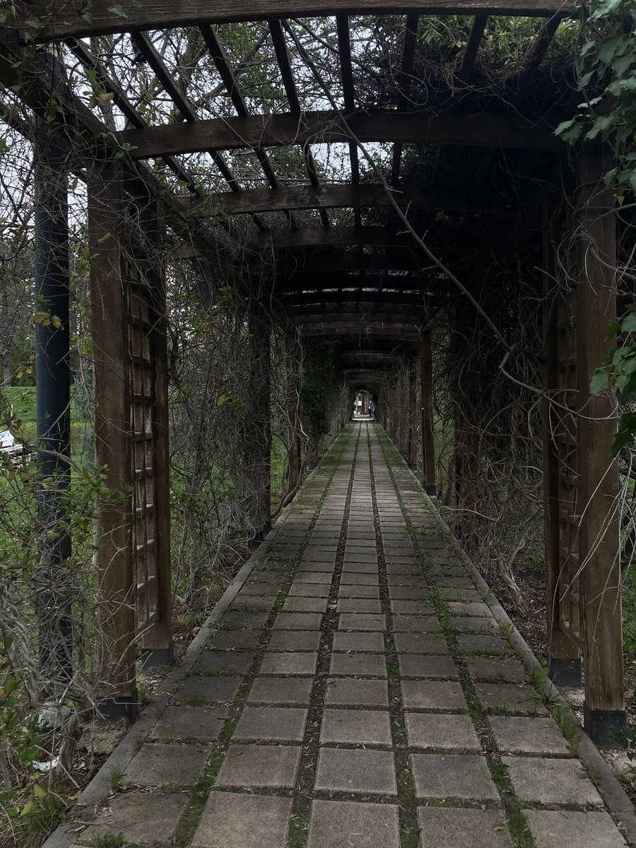 Yol sonu nereye çıksın ?