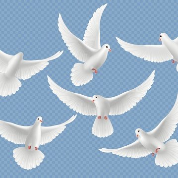 Tüm ülkeler af ilan etti AFsırası SendeTürkiyem