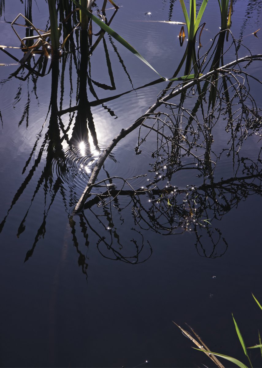 👀 J-5 avant l'ouverture de #WetlandProject au @cc_canadien !
🔈🌎 Rejoignez-nous ce samedi 22 avril pour le #vernissage de notre nouvelle #exposition immersive, et plongez dans le paysage sonore de l'Île Saturna en #ColombieBritannique 🇨🇦.
👉 bit.ly/3m9vW9b