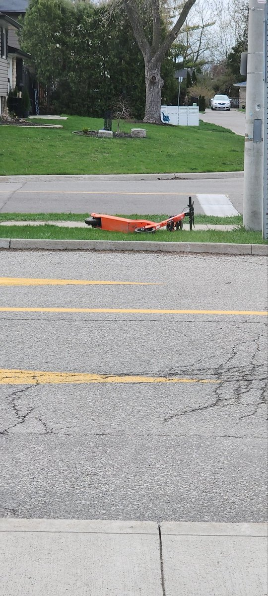 MomJteam's tweet photo. @311CityBrampton found on Parkway PS lawn https://t.co/QIlFKKzkCP