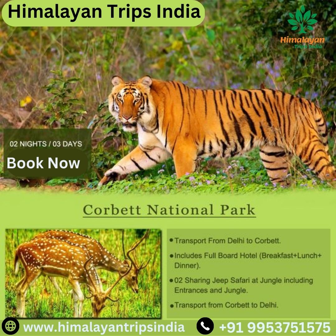 offbeathimalaya's tweet photo. Jim Corbett National Park lies in the Nainital district of Uttarakhand. It was here that the prestigious ‘Project Tiger’ was launched in the year 1973. The place is a treat for nature and wildlife lovers. 
.
Call Now - +91 9953751575
Website https://t.co/v5P3n3oPhi
.
#jimcorbett https://t.co/VMurc8Wvrs