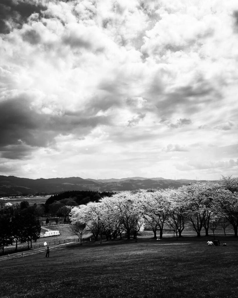 moco_cota's tweet photo. #空　#風景　#モノクロ　#白黒
#sky #landscape #monochrome #bnw https://t.co/Y9jOn53Py2 https://t.co/UFZpJluFSf
