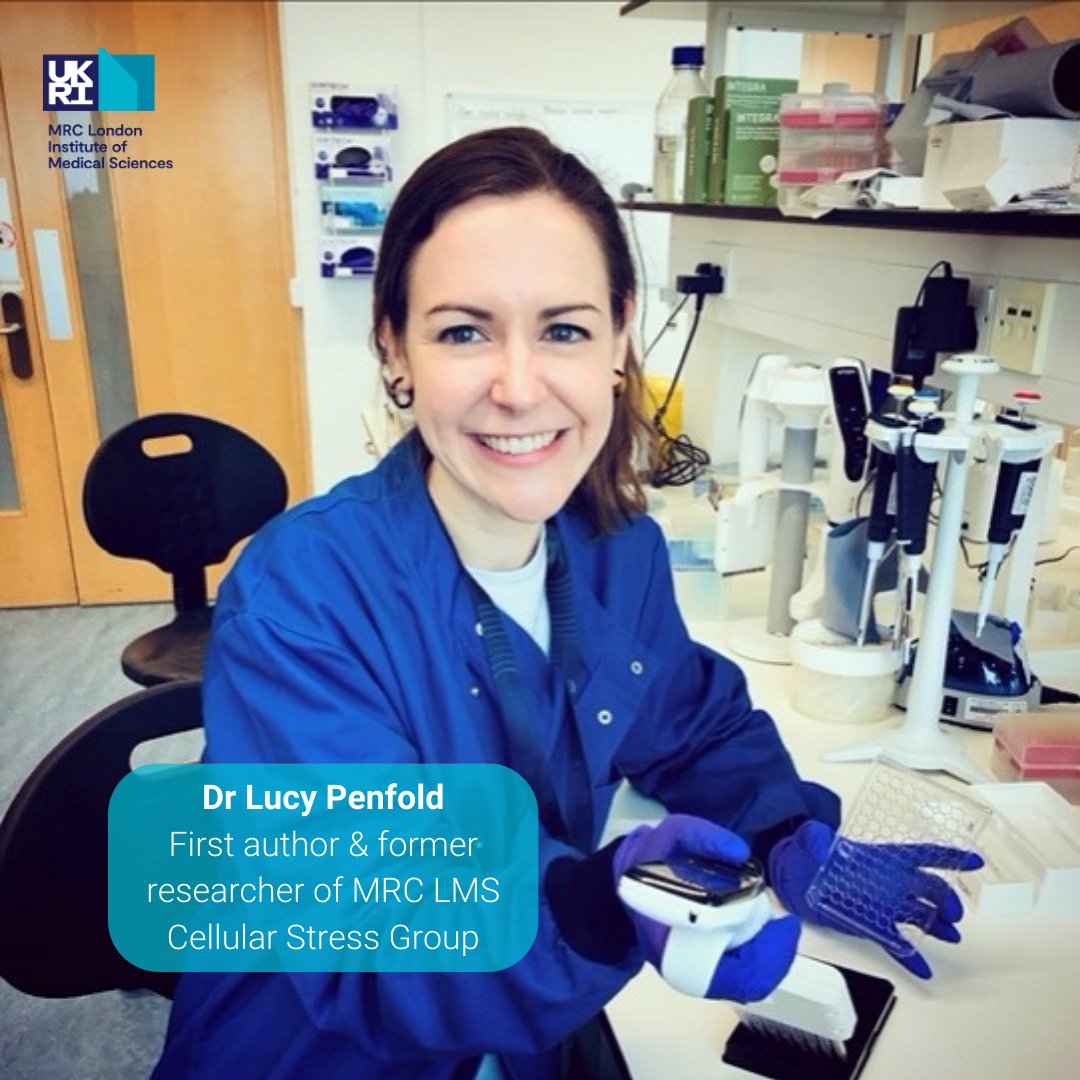 #NEW publication by <a href="/cellularstress/">Dave Carling lab</a> makes exciting progress in the fight against #ProstateCancer.

The team found that both genetic &amp; pharmacological activation of AMPK can dramatically protect against the disease.

👉 ow.ly/Ik0H50NKwwB
 <a href="/CellCellPress/">Cell</a> <a href="/The_MRC/">Medical Research Council</a> <a href="/ProstateUK/">Prostate Cancer UK</a>