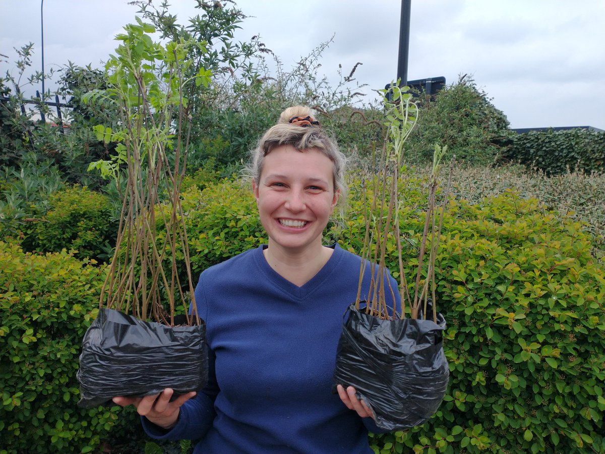 Calling all #sheffield local schools & community groups - we have FREE trees ready for planting we would love to give away to you!💚🌱🌳inc. rowan, silver birch, willow, hornbeam & more! Please get in touch asap at riverlution@the-rsc.co.uk 😀#treeplanting #trees #riverlution