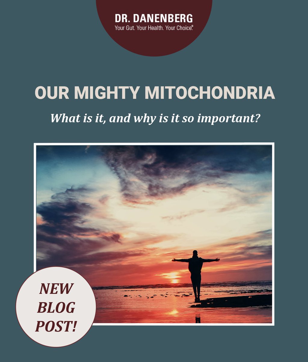 DrDanenberg's tweet photo. Our mitochondria are like the batteries of the “Energizer Bunny”, and they provide energy for our cells. If the mitochondria in a cell weaken or become damaged, the cell will not have enough energy to continue its job in the body. 

https://t.co/BxXDjgg8zv https://t.co/DBEKiulN2u