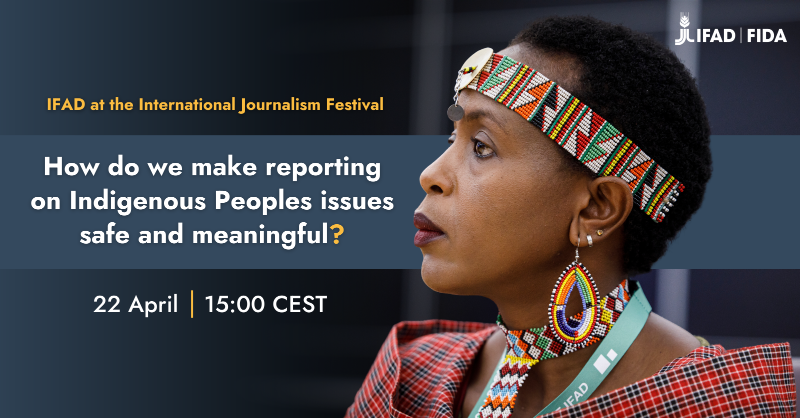 Event | Join us on site @journalismfest #ijf23 or online this Saturday 22 at 15:00 CET to delve into the complexities and obstacles faced by journalists when covering Indigenous Peoples issues. 1/2 ifad.org/en/web/latest/…