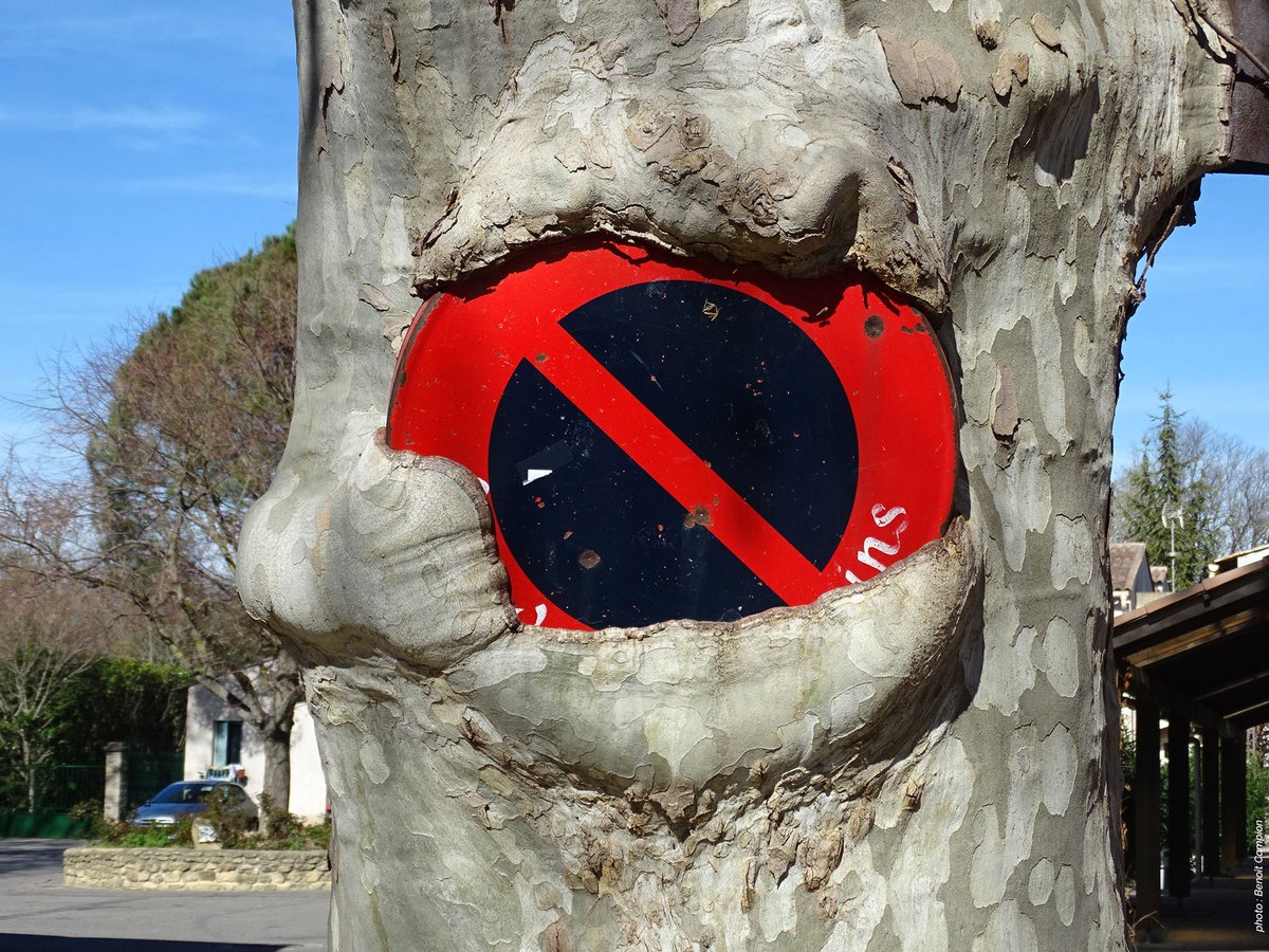 urlz.fr/ltfZ

L’arbre pour promouvoir l’urbain

<a href="/ARBE_RegionSud/">ARBE Provence-Alpes-Côte d'Azur 🌿</a> <a href="/safranconceptu/">SAFRAN</a> #regionsud <a href="/MaRegionSud/">Région Sud</a> <a href="/FdeCanson/">François de Canson</a> <a href="/INRAE_France/">INRAE</a> #marseille #arboricultureurbaine #aménagementvégétal #biodiversitéurbaine #gestionarbresdedemain #îlotdechaleur