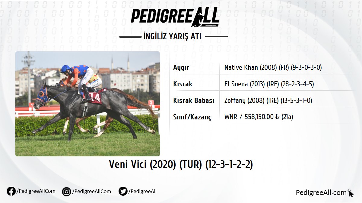 Pedigreeall.com kayıtlı aygırlarından Native Khan'ın 3 yaşlı erkek tayı Veni Vici, KV9 Sadık Eliyeşil Koşusu'nu kazandı. 

pedigreeall.com/veni-vici-tur-…