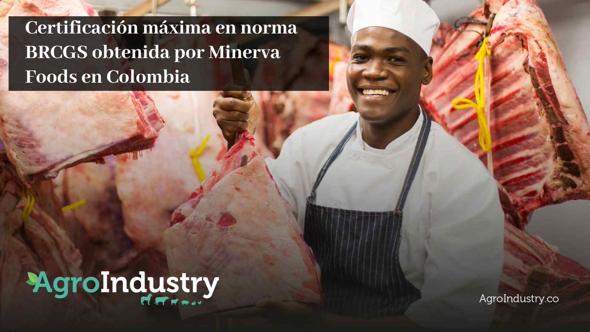 AgroIndustryMag's tweet photo. #MinervaFoods logra la calificación AA+ en su planta de procesamiento de #Ciénaga de Oro, convirtiéndose en la primera planta en el país en obtener este resultado en la norma internacional #BRCGS 

https://t.co/oKaIGU6Qkw
#Agricola #Agro #AgroIndustry https://t.co/XaCMNbdafW