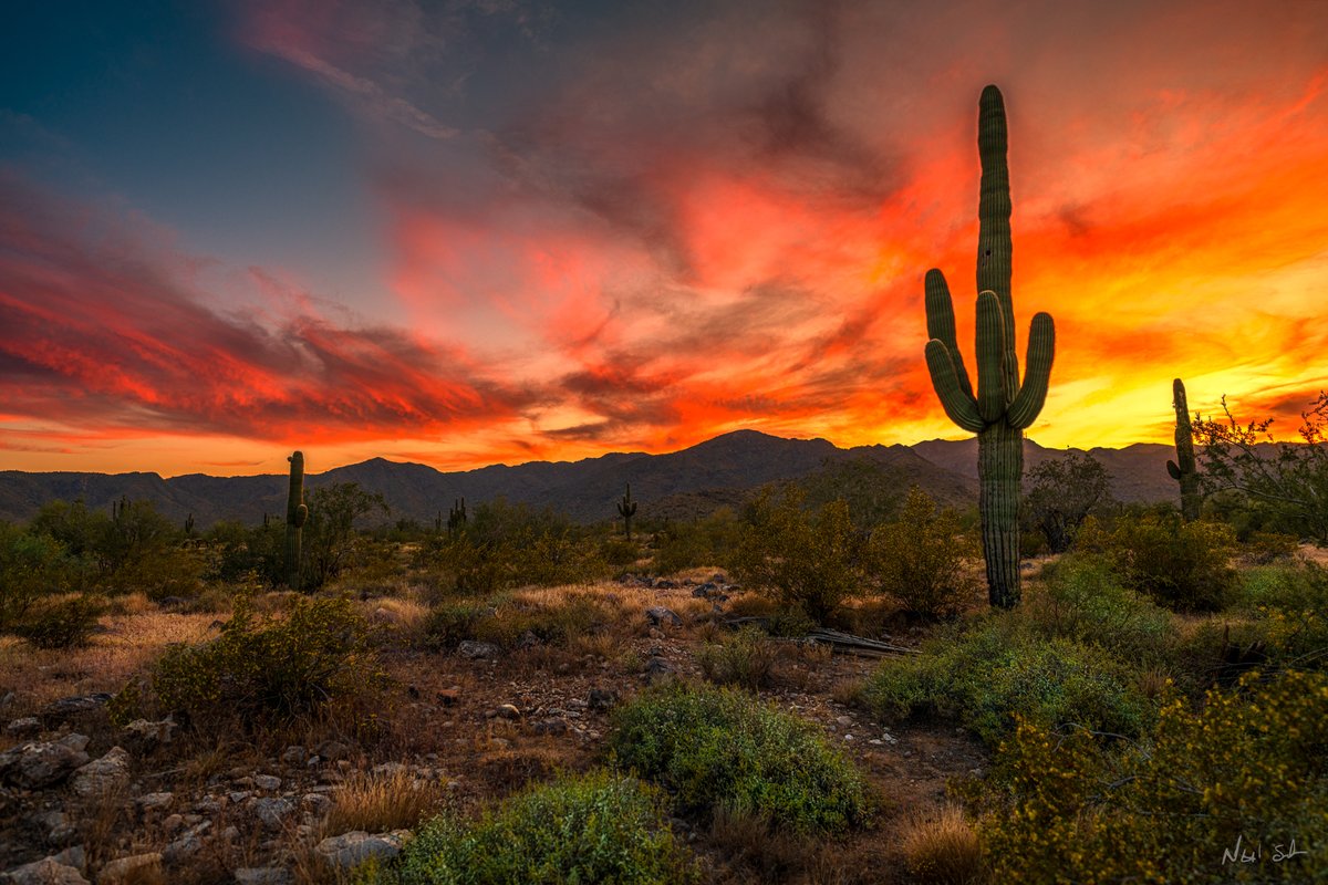 Arizona sunset. #Nikon #lightroom #Arizona