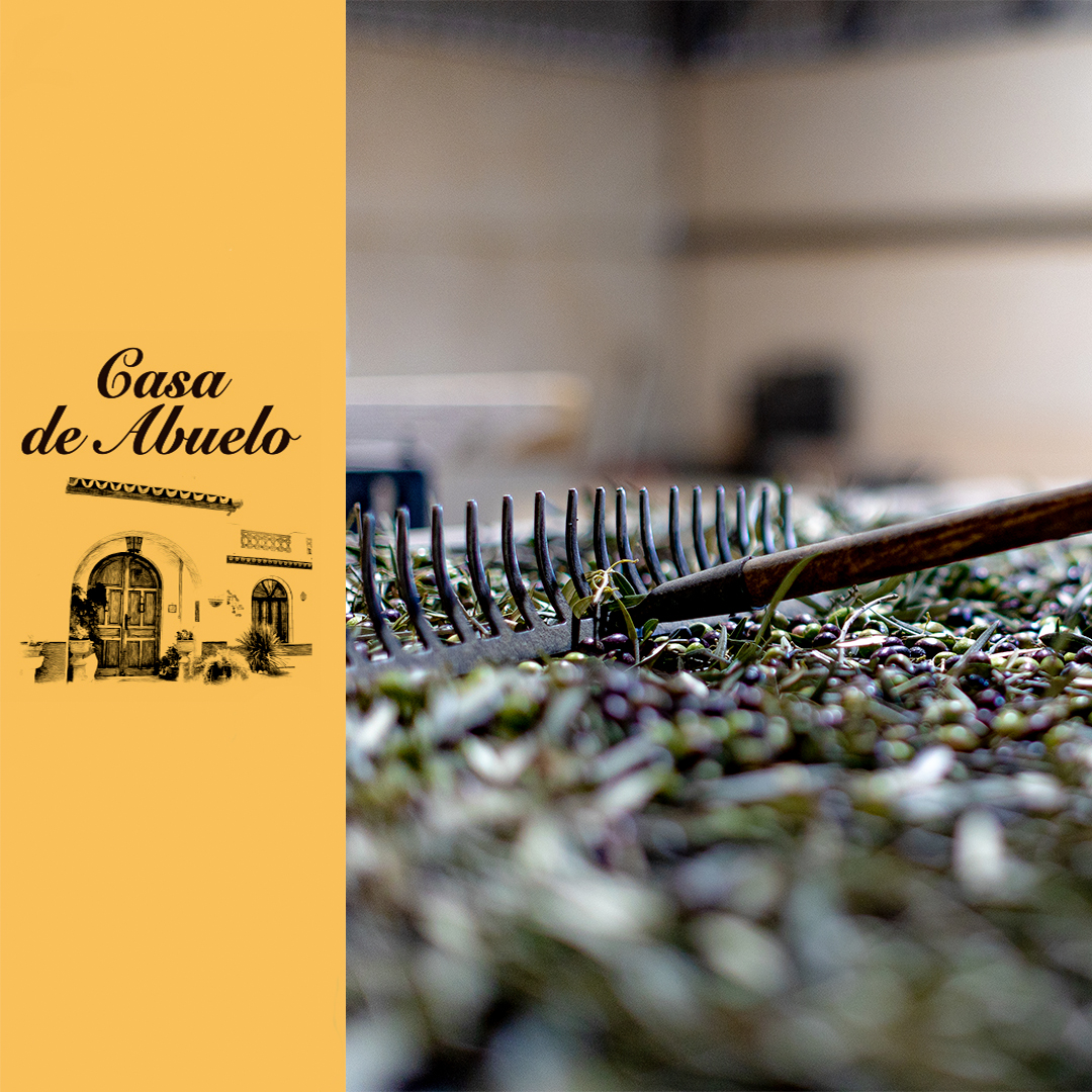 aovecasa_abuelo's tweet photo. Cuidamos con mucho mimo, durante todo el año nuestro olivar, seleccionando los frutos mas sanos, para la elaboración de nuestro @aovecasa_abuelo . #arbequina #hojiblanca #verdial #andalucía #haciendanuestraseñoradelosdolores #monovarietal #aceitepremium https://t.co/CINa6WJ0ew