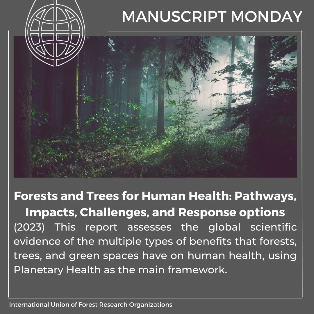 Forest Pathways Report 2023