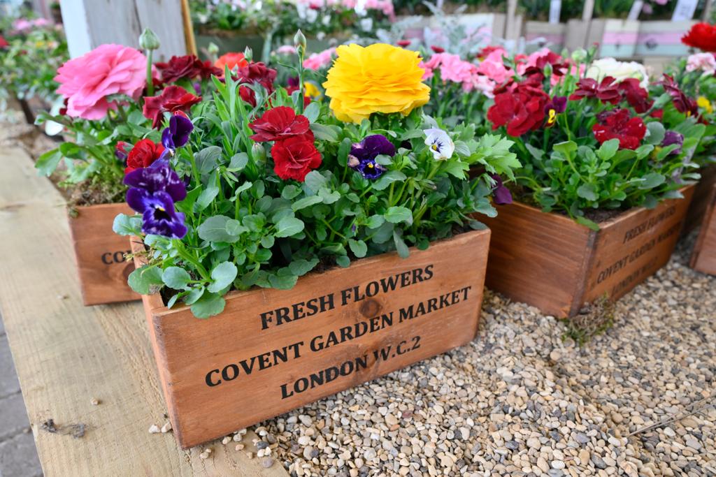 VanHage's tweet image. If you have little or no time to do any gardening, these Fresh Flower Boxes are perfect for a burst of instant colour. Planted with a selection of delightful Spring blooms and ready to display on table-tops, patios and decking. 
#springplants #gardening #flowers #bluediamond