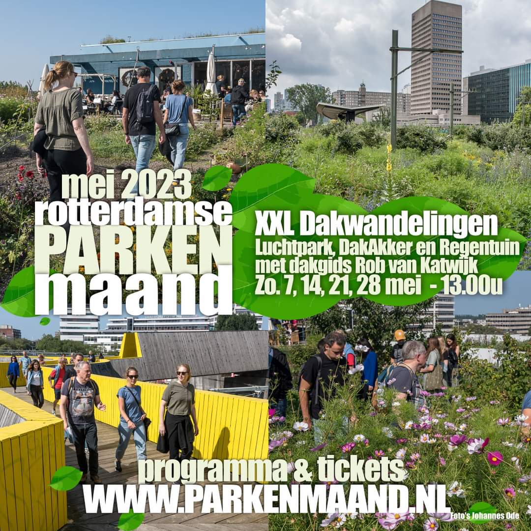 d_akkers's tweet photo. Je kunt het DAK op ! Iedere zondag in mei tijdens de @Parken010-maand๐ณ met dakgids Rob van Katwijk. Naar 't #Luchtpark, de @Dakgaarden op de Hofbogen en de #regentuin (met de @ZOHOROTTERDAM letters), de #Dakakkers en 't @Slimdak010. TICKETS โฌ 5 via ๐ฒ: https://t.co/9zQqlZIh0m. https://t.co/lq2phwDNa2