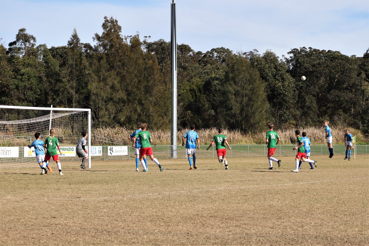 Adamstown Rosebud FC tweet media