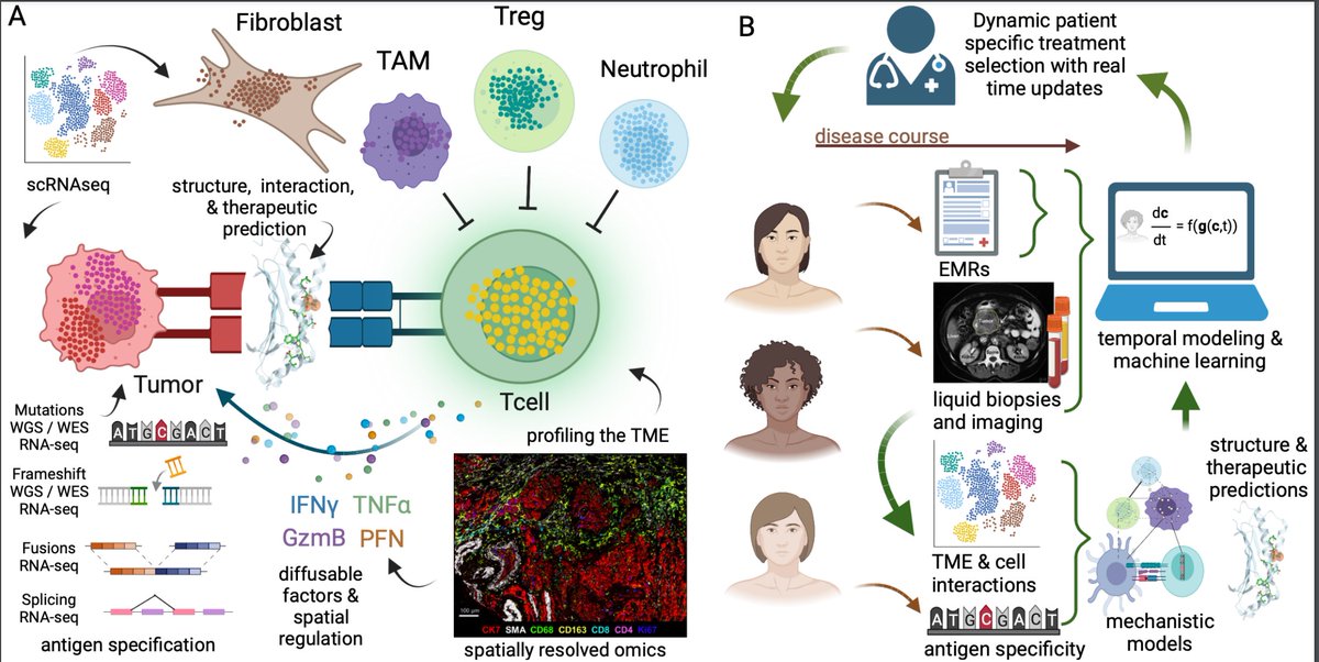 Cancer Discovery (@cd_aacr) on Twitter photo Just published by #AACR23 Plenary speaker @FertigLab— Converging on a Cure: The Roads to Predictive #Immunotherapy (with <a href="/GenesOfEve/">Genevieve Stein-O'Brien</a>, Dung Le, <a href="/DrLizJaffee/">Dr. Elizabeth Jaffee</a> and <a href="/NeehaZaidi/">Dr. Neeha Zaidi</a>)
bit.ly/3ohmIIM
<a href="/hopkinskimmel/">Johns Hopkins Kimmel Cancer Center</a> Just published by #AACR23 Plenary speaker @FertigLab— Converging on a Cure: The Roads to Predictive #Immunotherapy (with <a href="/GenesOfEve/">Genevieve Stein-O'Brien</a>, Dung Le, <a href="/DrLizJaffee/">Dr. Elizabeth Jaffee</a> and <a href="/NeehaZaidi/">Dr. Neeha Zaidi</a>)
bit.ly/3ohmIIM
<a href="/hopkinskimmel/">Johns Hopkins Kimmel Cancer Center</a>