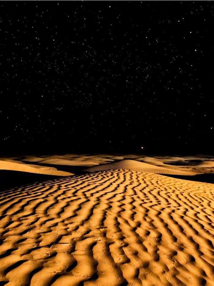Non vedi niente. 

Non senti niente. 

E tuttavia qualcosa 

brilla in silenzio.

▪︎Antoine de Saint-Exupéry 

#SiViaggiare @SalaLettura #SalaLettura @RetwittL 

Notte stellata sul Sahara