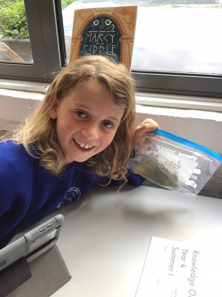 MissCallanan4's tweet photo. Hello! A long overdue update from 4W! 
We have mouldy bread! A very exciting welcome back present for the students from the 2 week break. Some interesting results from our experiments from British Science Week.
@ShacklewellE8 https://t.co/7TWWiDKU7a