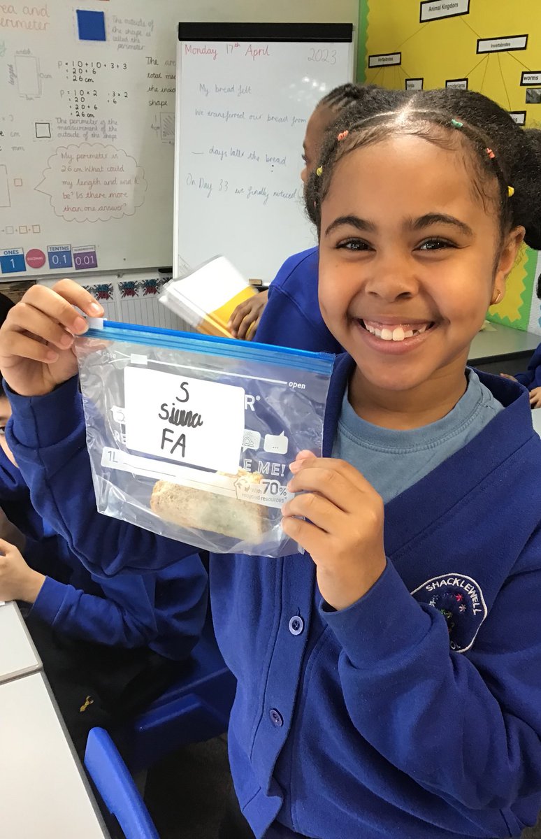 MissCallanan4's tweet photo. Hello! A long overdue update from 4W! 
We have mouldy bread! A very exciting welcome back present for the students from the 2 week break. Some interesting results from our experiments from British Science Week.
@ShacklewellE8 https://t.co/7TWWiDKU7a
