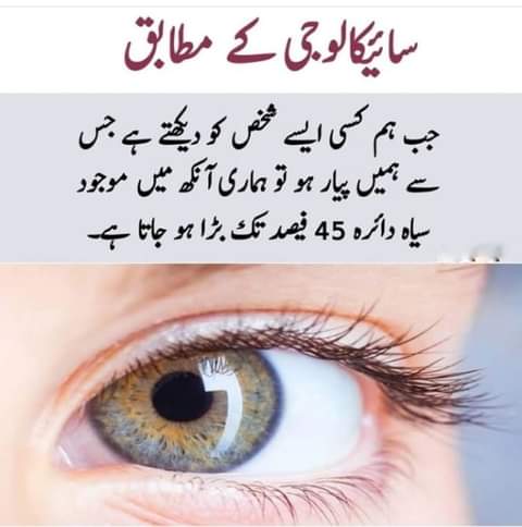 Hamdan (@zeburqan) on Twitter photo 