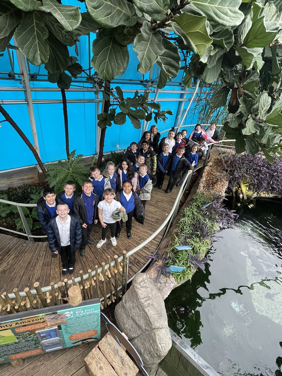 Y3 and 4 dove into their new topic ‘Blue Planet’ by spending the day at <a href="/BristolAquarium/">Bristol Aquarium</a>  🐠 🐟 🦈 🦞 #blueplanet #marinelife #underthesea