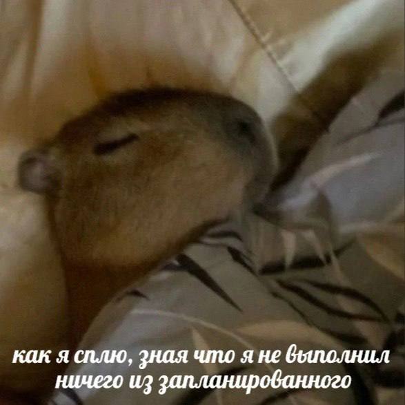 how I sleep knowing that I have not done all the things I was supposed to do