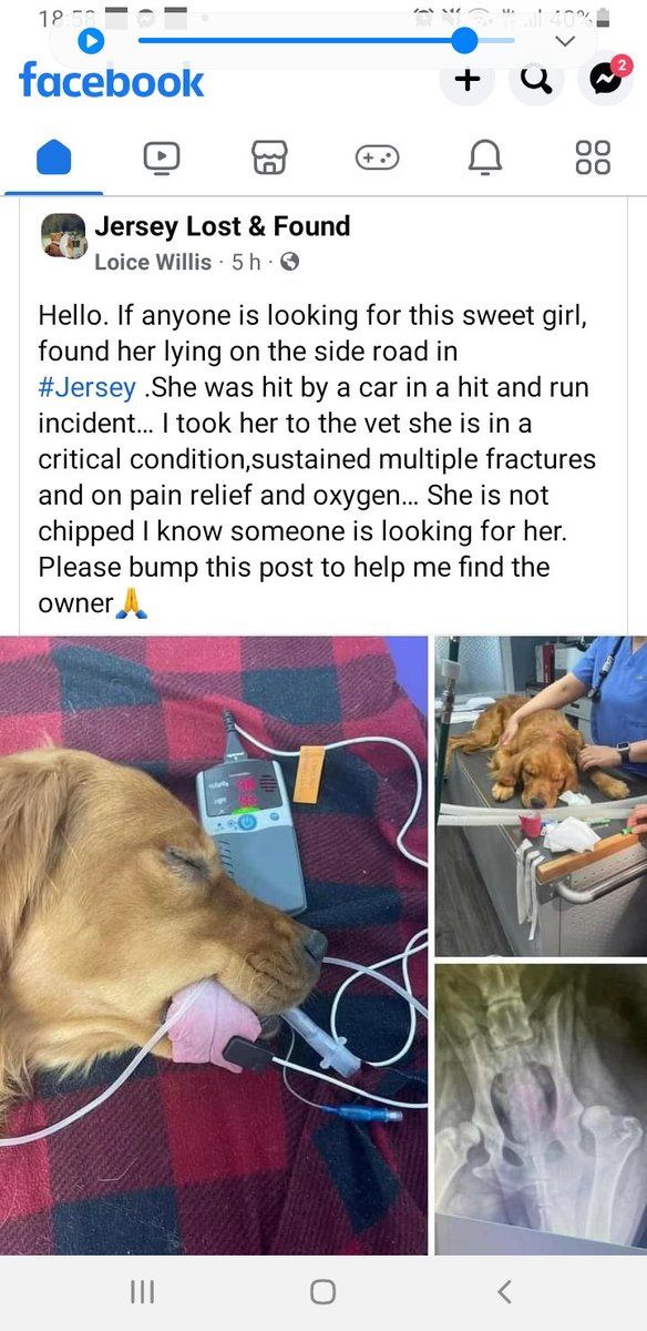 ANDYDB7's tweet photo. Horrific. And the bastard driver didn t stop. https://t.co/33cgqwaQHW