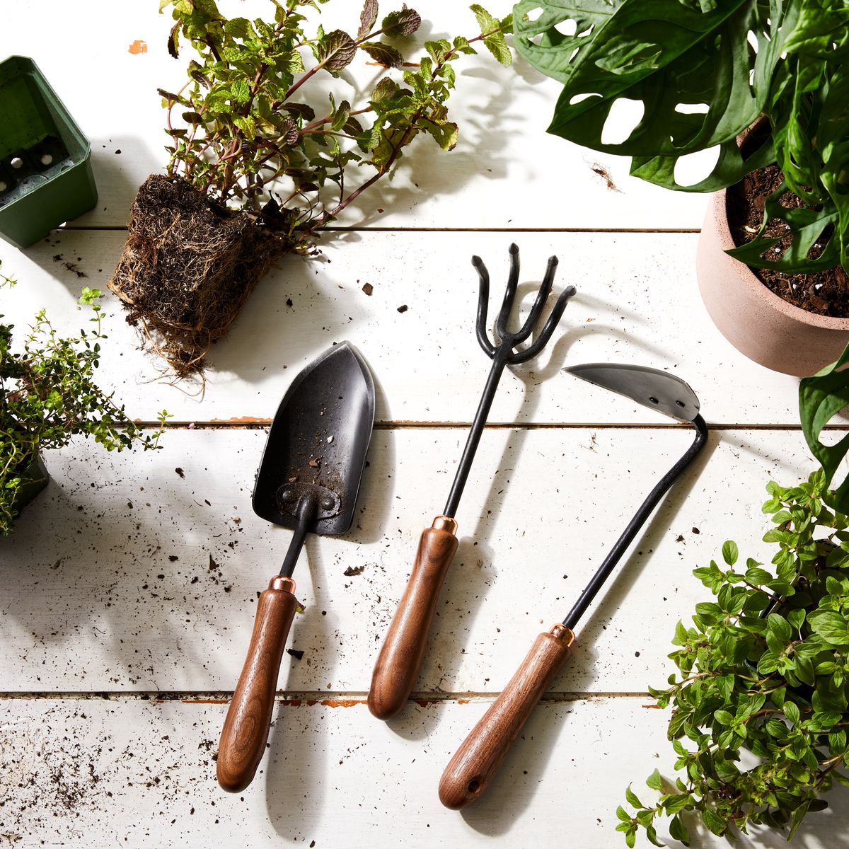 When it comes to gardening supplies, we have your covered. Check out our website for the latest! #gardening #gardeningtools #gardeningsupplies #garden #gardenlife #gardenlove #gardenideas #gardendesign #gardeningtips