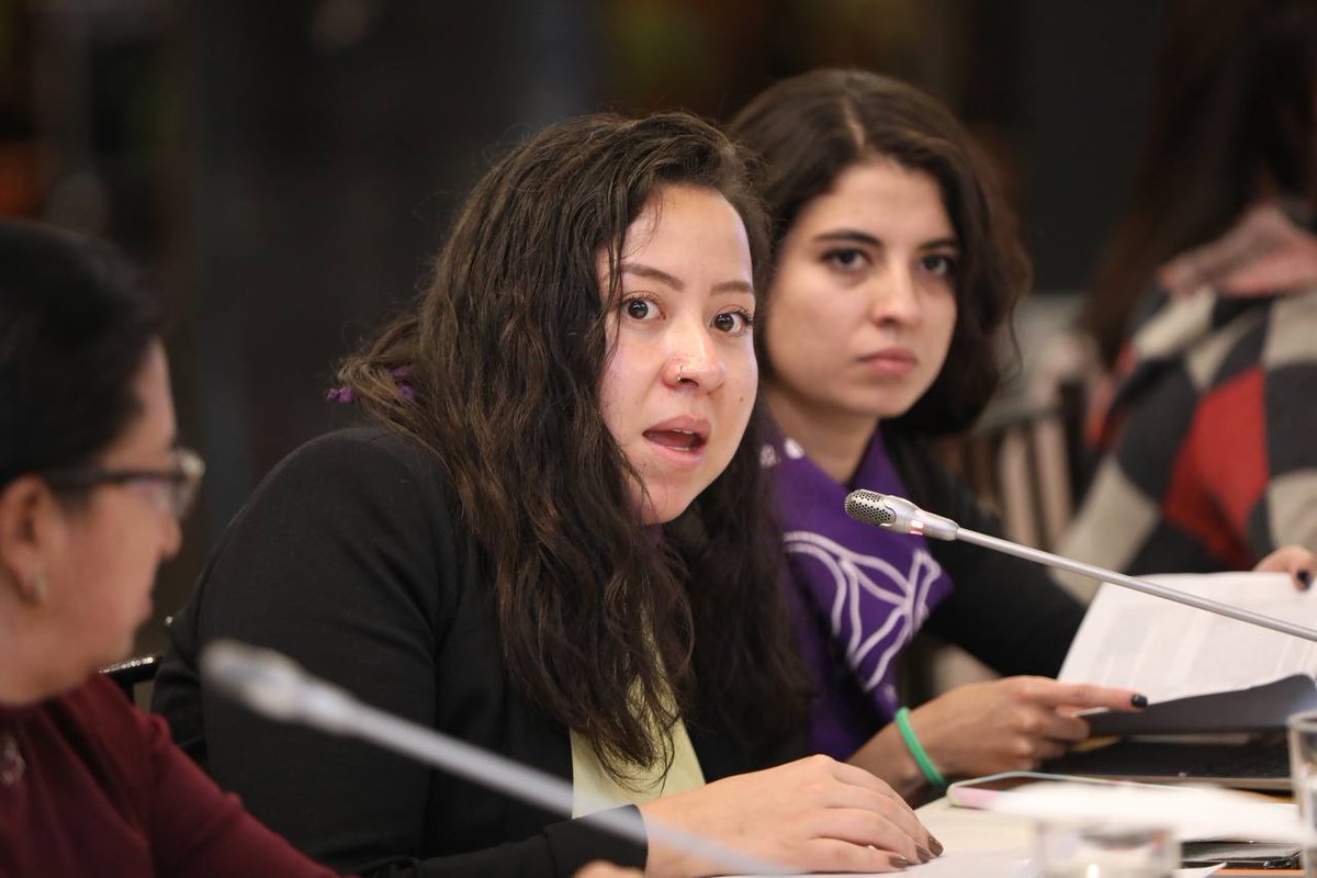 AsambleaEcuador's tweet photo. Las diferentes organizaciones en materia de género presentan observaciones y aportes al Plan de Seguimiento, enfatizan que los funcionarios públicos deben ser capacitados para llegar a la sensibilización porque son quienes deben proteger la vida de los ciudadanos. 
#LOIPEVM https://t.co/q0V8rk6JSE