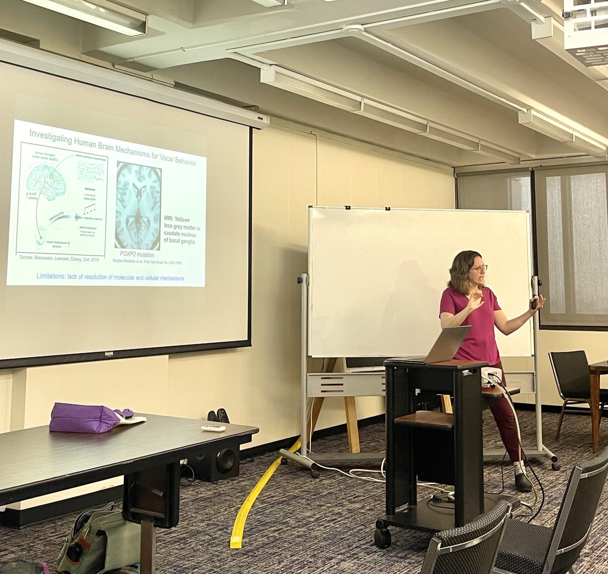 CCNY Women in Science tweet media