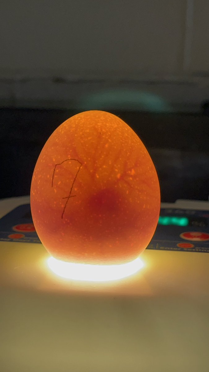 Susan Anderson tweet media