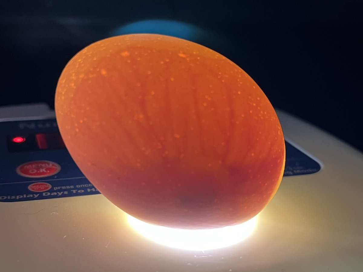 Susan Anderson tweet media