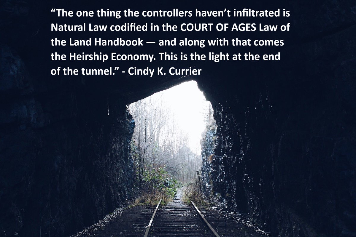 Illumin8tion21's tweet image. #HeirsofCreation #CourtofAges #LawoftheLandHandbook #Codified #HeirshipEconomy #NaturalLaw #w4nl