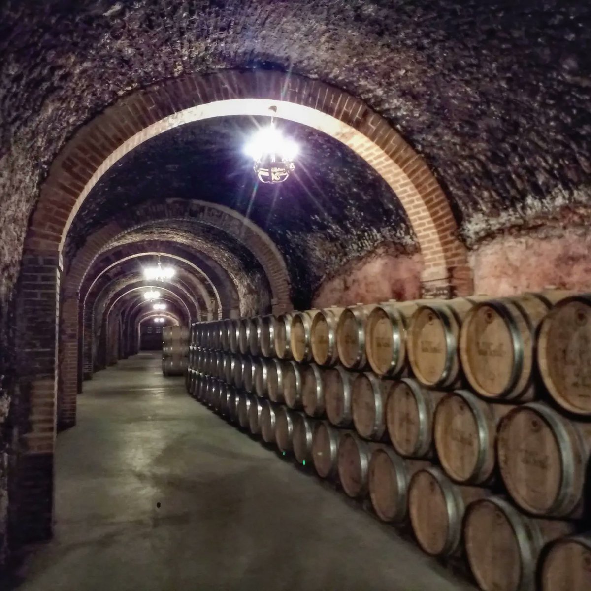 laminitania's tweet photo. @valsotillo, D.O. Ribera del Duero, en Sotillo de la Ribera, BU.

Impresionante labor de conservación del patrimonio cultural, enológico y arquitectónico.

➡️ +3 km. de cuevas
➡️ 100 lagares
➡️ 130 zarceras (respiraderos).

La visita merece la pena.

https://t.co/7Wji1mLS9d https://t.co/EfV7ujf7k4