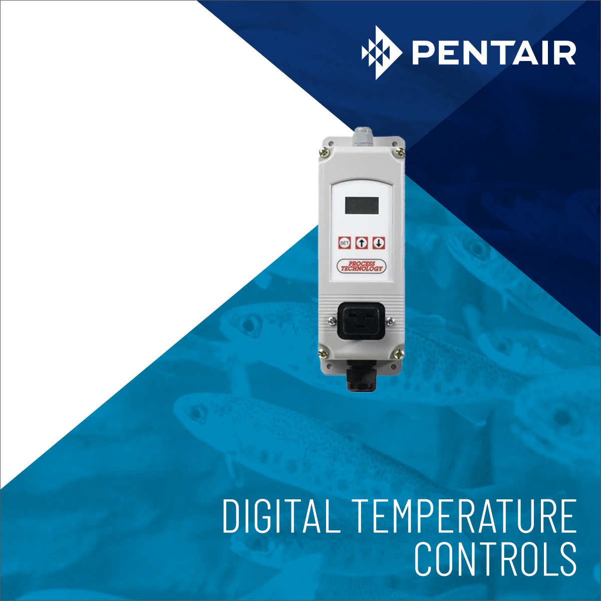 This week, our Featured Pentair AES product is the Digital Temperature Control. This LCD temperature display can indicate the set and actual temperatures of the water, providing a reliable and accurate control for #aquaculture heating systems. 

Shop now: bit.ly/3UH3Z5o